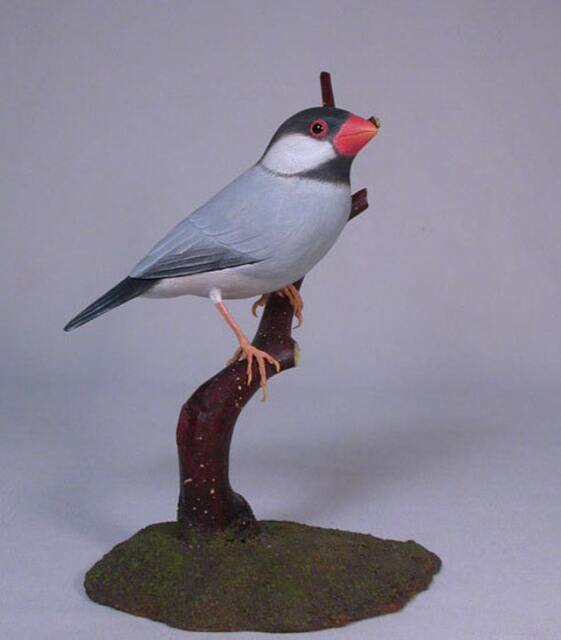 Java Sparrow Bird Carving Wood