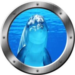 Beach Wall Decal - Porpoise Ocean Dolphin Porthole Sticker Peel & Stick Window Mural Home Decor Art Vwaq Sp29 - thumbnail 2