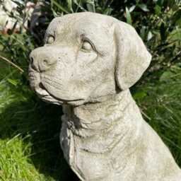 Sitting Labrador Stone Statue - Outdoor Dog Puppy Garden Animal Ornament - thumbnail 3