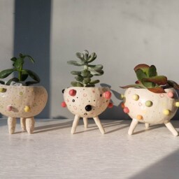 The Bobbly Pot Collection - Ceramic, Handmade, Succulent Pot, Hanging Planter, Cactus Plant Home Studio Pottery, Pinch Pot - thumbnail 4