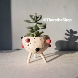 The Bobbly Pot Collection - Ceramic, Handmade, Succulent Pot, Hanging Planter, Cactus Plant Home Studio Pottery, Pinch Pot - thumbnail 2