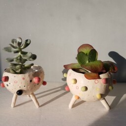 The Bobbly Pot Collection - Ceramic, Handmade, Succulent Pot, Hanging Planter, Cactus Plant Home Studio Pottery, Pinch Pot - thumbnail 3