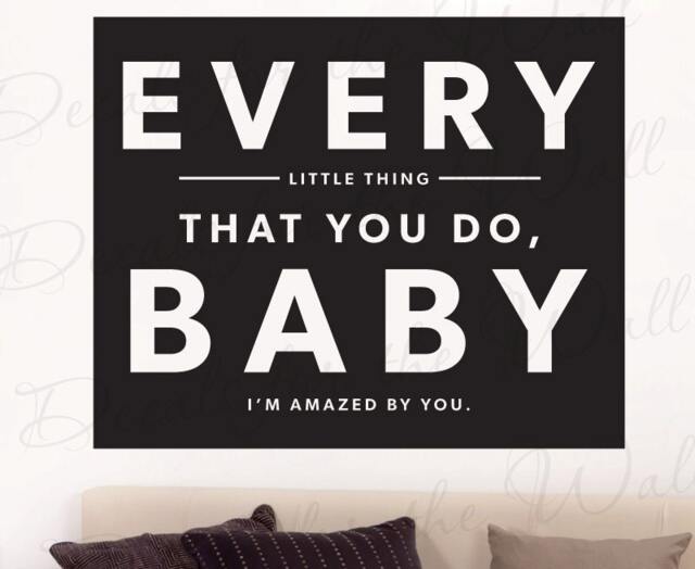 Every Little Thing Baby Amazed By You Lonestar Tim Mcgraw Country Music Love Marriage Husband Wife Couple Bedroom Wall Art Vinyl Decal Q70 - image 1