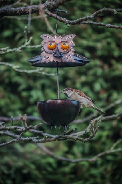 Owl Bird Feeder. Hanging Metal Outdoor - 2-2C - image 1