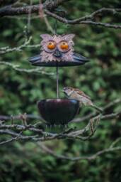 Owl Bird Feeder. Hanging Metal Outdoor - 2-2C