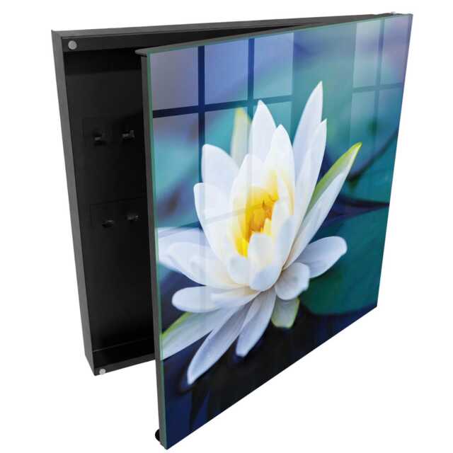 Water Lily Key Cabinet For Home, Green Box Wall, Photographic Nature, Lovers Of Nature & Peaceful Interiors - image 1