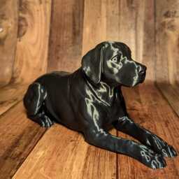 3D Printed Labrador Figurine Dog Memorial Ornament - thumbnail 2