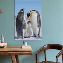 Emperor Penguin Family Canvas Wall Art - thumbnail 3
