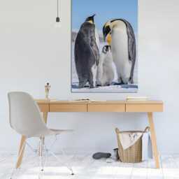 Emperor Penguin Family Canvas Wall Art - thumbnail 2
