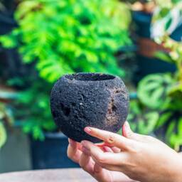 Black Lava Rock Planter, Succulent Moss Tropical Plant Pot, Set Of 3, Mother's Day Gift - thumbnail 3