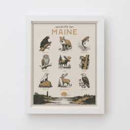 Maine Wildlife Wall Art Print - Vintage Animal Poster Design, Archival Quality Matte Fine Art Print. Outdoor, Wilderness State Gift - thumbnail 1