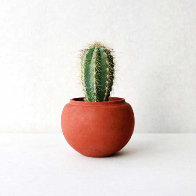 Terracotta Red Concrete Planter Pot - Minimalist Sphere, Gardening Gift - image 1