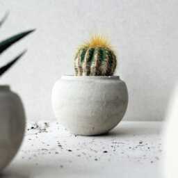 Terracotta Red Concrete Planter Pot - Minimalist Sphere, Gardening Gift - thumbnail 2