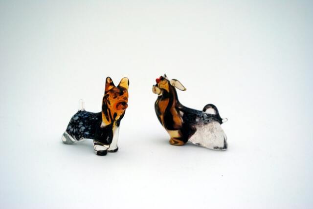 Yorkshire Terrier - Only With Bow