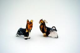 Yorkshire Terrier - Only With Bow
