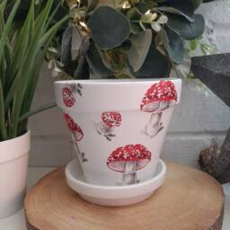 Beautiful Toadstool Decoupaged Terracotta Plant Pot. Available in Two Sizes - thumbnail 2