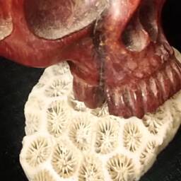 Skull Box - thumbnail 4