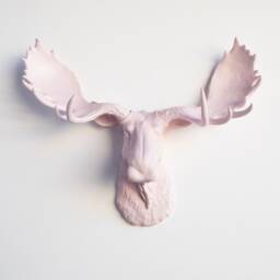 Faux Taxidermy Moose Head Wall Mount - Decor Pink M0606 - thumbnail 1