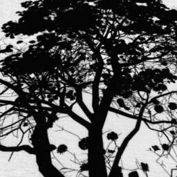 Pillow Cover With Black Tree Minimalist Design On The White, Double Sided Printing Soft Chenille Fabric Multi Size Options, Oeko-Tex - thumbnail 2