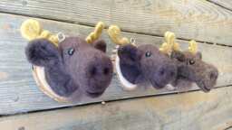 Mounted Moose Head - Needle Felted - thumbnail 1
