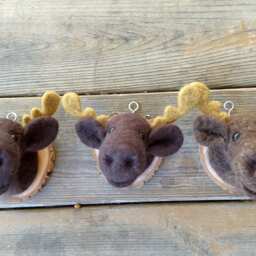 Mounted Moose Head - Needle Felted - thumbnail 2