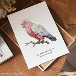 Galah Cockatoo Wall Art Print, Parrot Portrait, Aussi Birds, Bird Print Gift, Exiotic - thumbnail 2