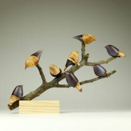 Duo Family Birds - 39