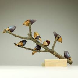 Duo Family Birds - 39 - thumbnail 4