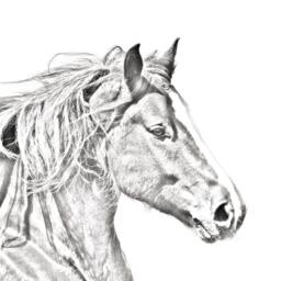 Freiberger - Wooden Stand For Candles/Pens With The Image Of A Horse New Collection - thumbnail 2