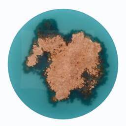 Burl Wood River Coffee Table - Epoxy Resin Island - thumbnail 3