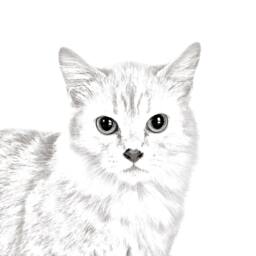 Munchkin - Wooden Stand For Candles/Pens With The Image Of A Cat New Collection - thumbnail 2