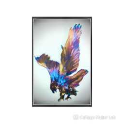 steel Eagle Wall Art Heat Treated Bird Of Prey Plaque - 30cm - thumbnail 2