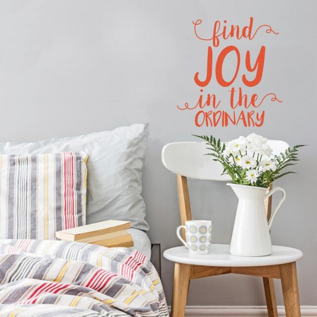 Find Joy in The Ordinary Quote - Vinyl Wall Decal - image 1