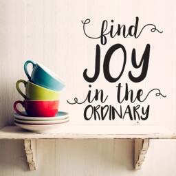 Find Joy in The Ordinary Quote - Vinyl Wall Decal - thumbnail 2