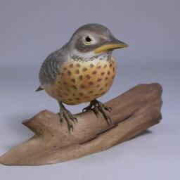 Baby American Robin Original Wood Carving - thumbnail 2