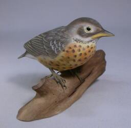 Baby American Robin Original Wood Carving - thumbnail 1