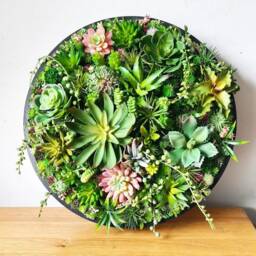 Round Faux Succulent 3D Wall Art Modern Framed Realistic Plant Decor Home Or Business - thumbnail 3