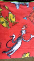 Handmade Dr. Seuss Blanket - thumbnail 1