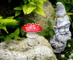 Polymer Clay Mushroom Jar - thumbnail 1