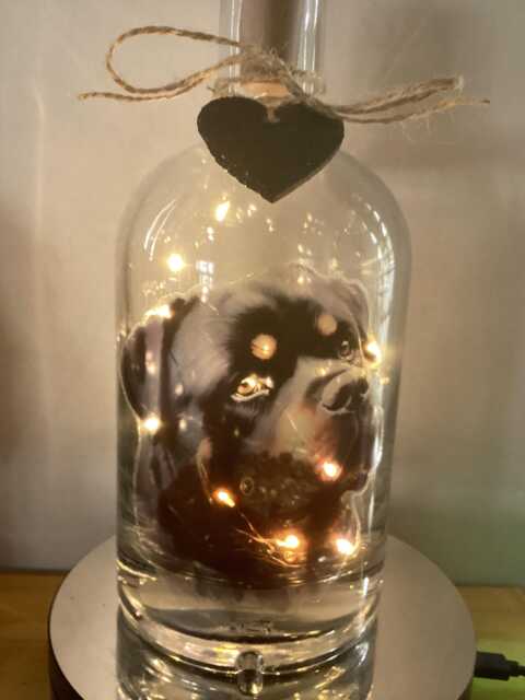 Personalised Rottweiler Dog Light Up Bottle, Bottle Lamp With Gift Messaging Service & Bag