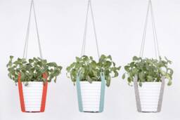 Minimalistic Merino Wool Felt Plant Hanger