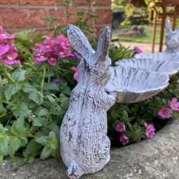 Small Cast Iron Rabbit Birdbath/Feeder Garden Ornament - thumbnail 4