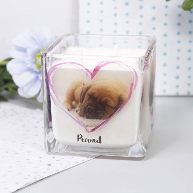Pet Photo Scented Candle - Loss Gift -Pet Memorial - image 1