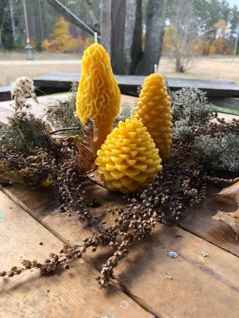 Michigan Beeswax Candle Set Pinecone & Morel, Farmhouse Decor - image 1
