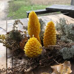 Michigan Beeswax Candle Set Pinecone & Morel, Farmhouse Decor - thumbnail 3