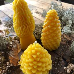 Michigan Beeswax Candle Set Pinecone & Morel, Farmhouse Decor - thumbnail 2