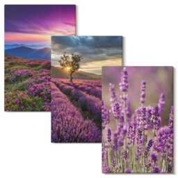 3 Piece Canvas Set - Landscape With Lavender Fields & Sunset, Purple Photo Print, Landscapes Wall Decor - thumbnail 2