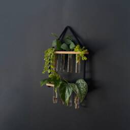 Propagation Station For Plant Cuttings Such As Monstera & Pothos - thumbnail 3