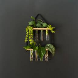Wooden Propagation Station For Plant Cuttings