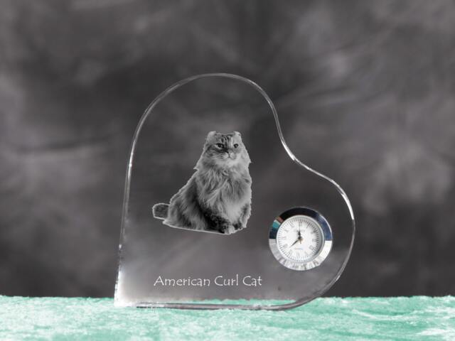 American Curl - Crystal Clock in The Shape Of A Heart With Image Pure-Bred Cat - image 1